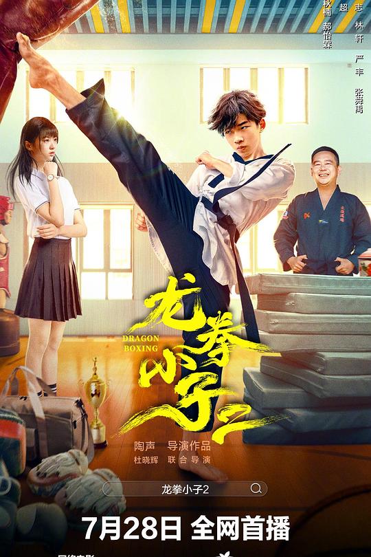 龙拳小子2 封面