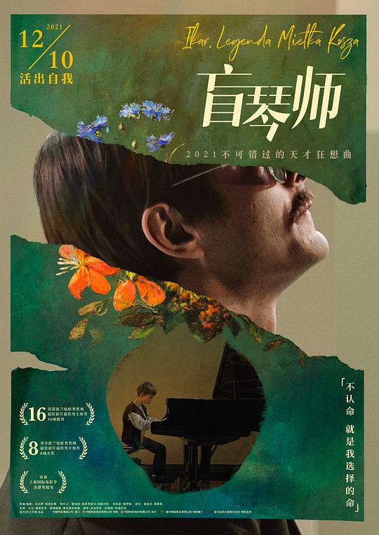盲琴师 封面