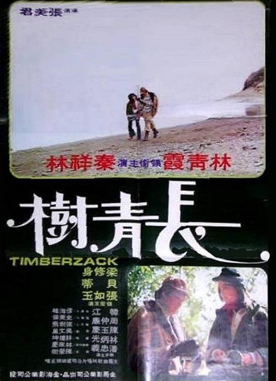 长青树 長青樹 封面