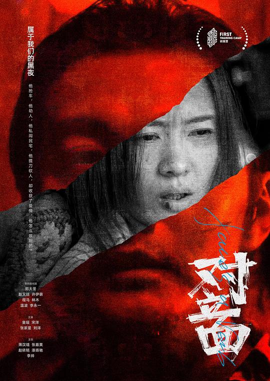 对立面 封面