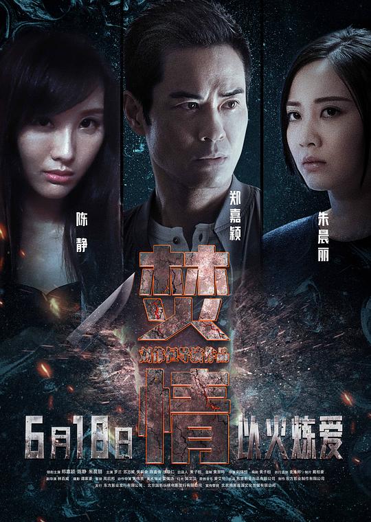 焚情 封面