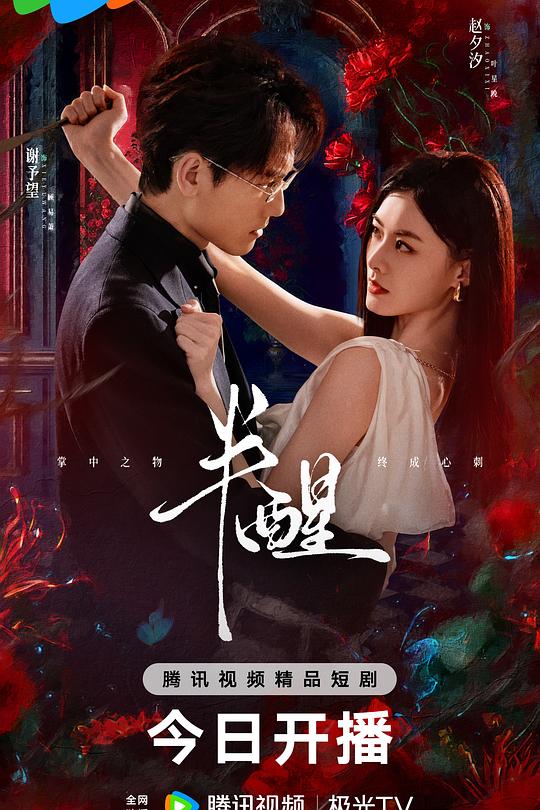 半醒 封面