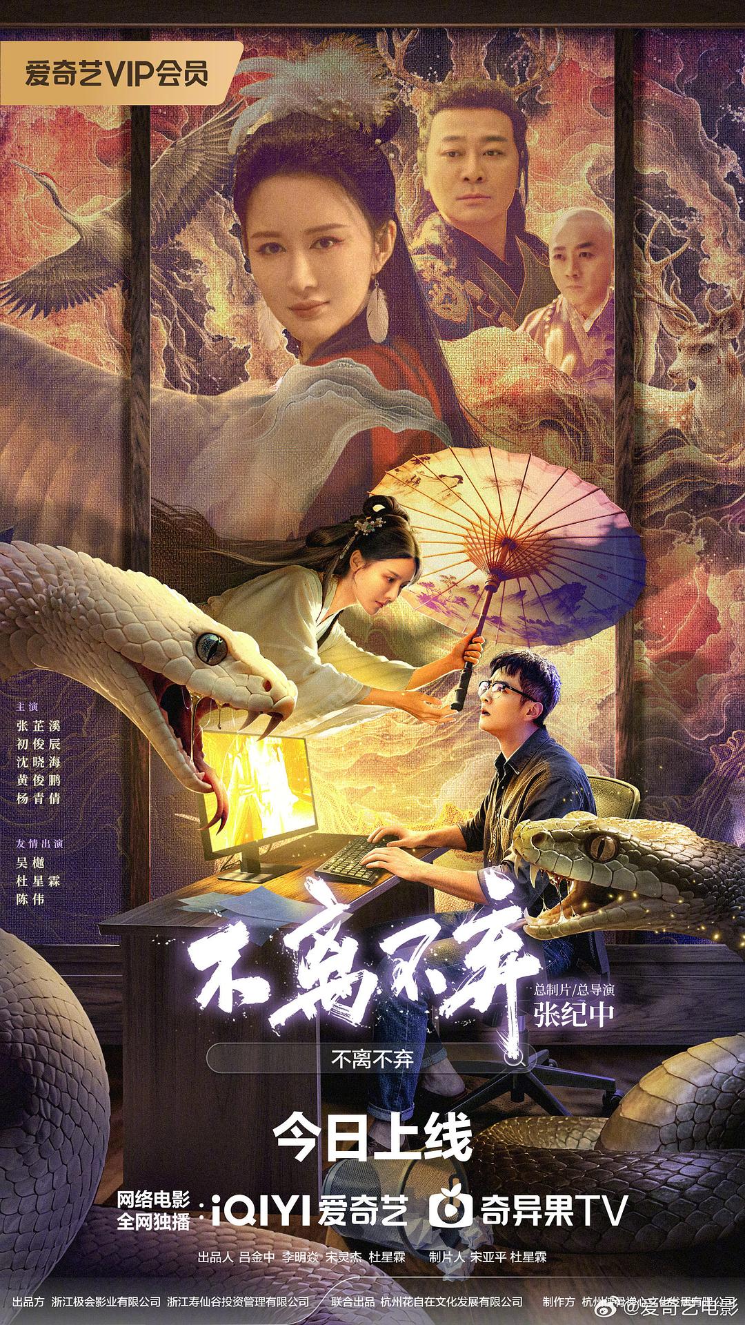 不离不弃 封面