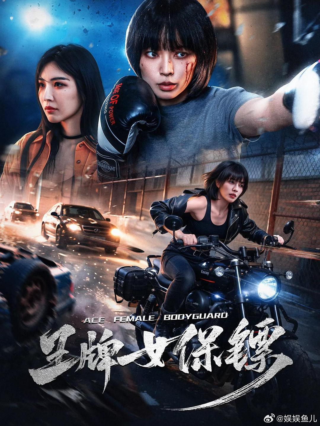 王牌女保镖 封面