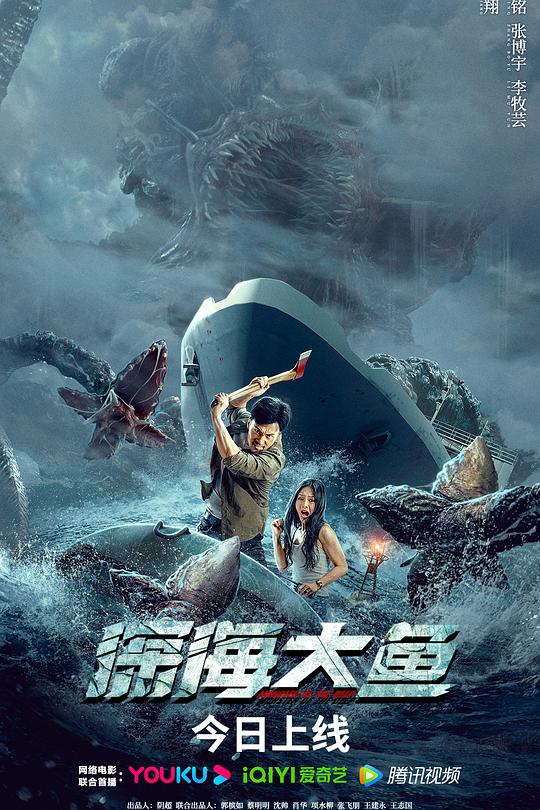 深海大鱼 封面