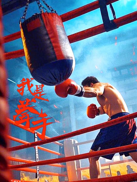 我是拳手 封面