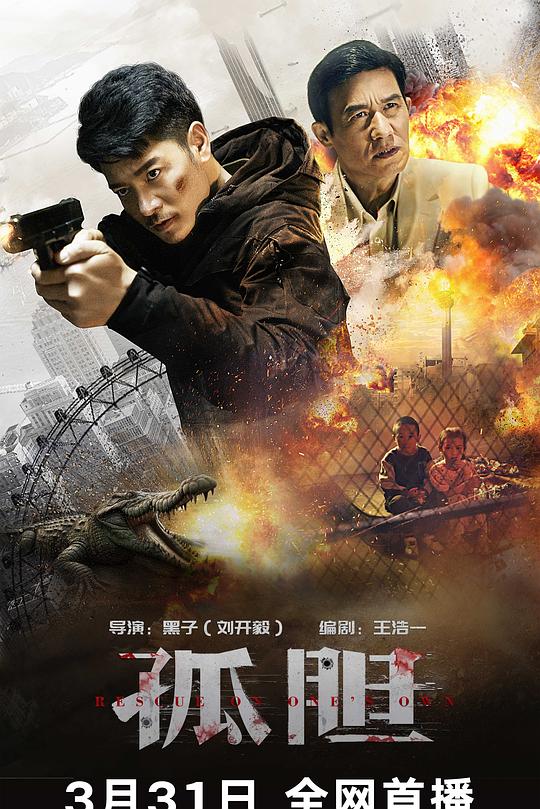 孤胆 封面