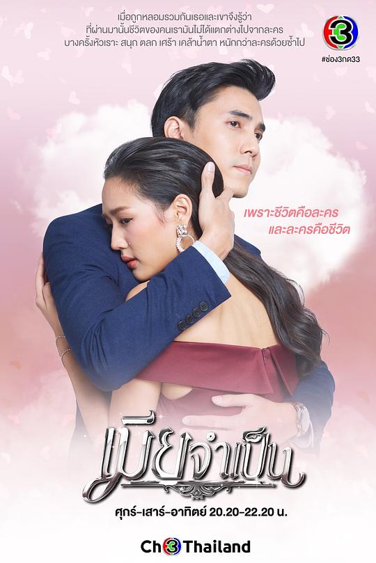 非婚不可 เมียจำเป็น 封面