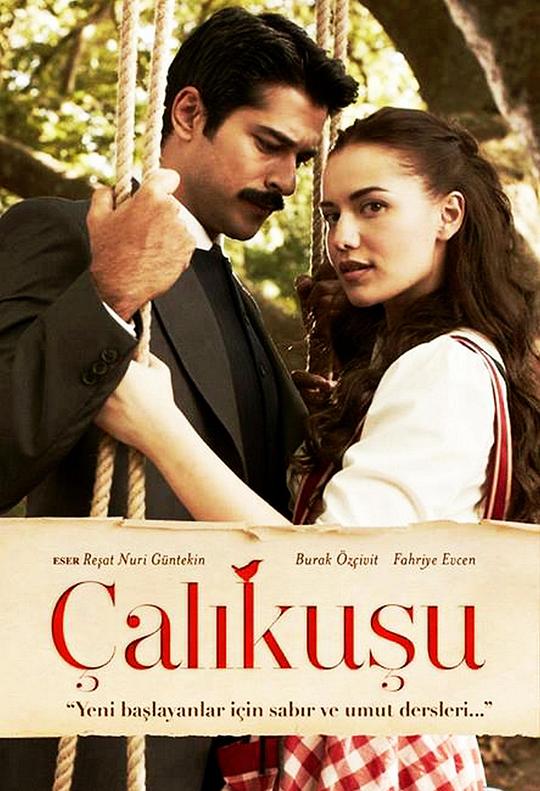 真爱无敌 Çalıkuşu 封面