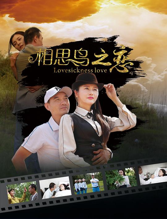 相思鸟之恋 封面