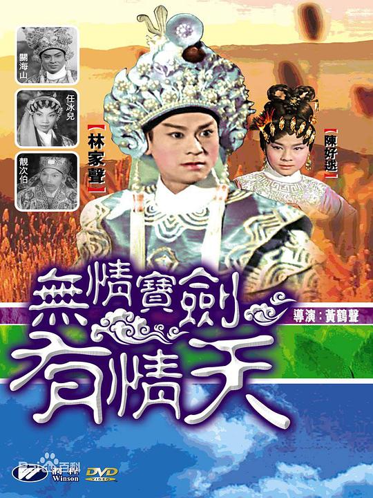 无情宝剑有情天 封面