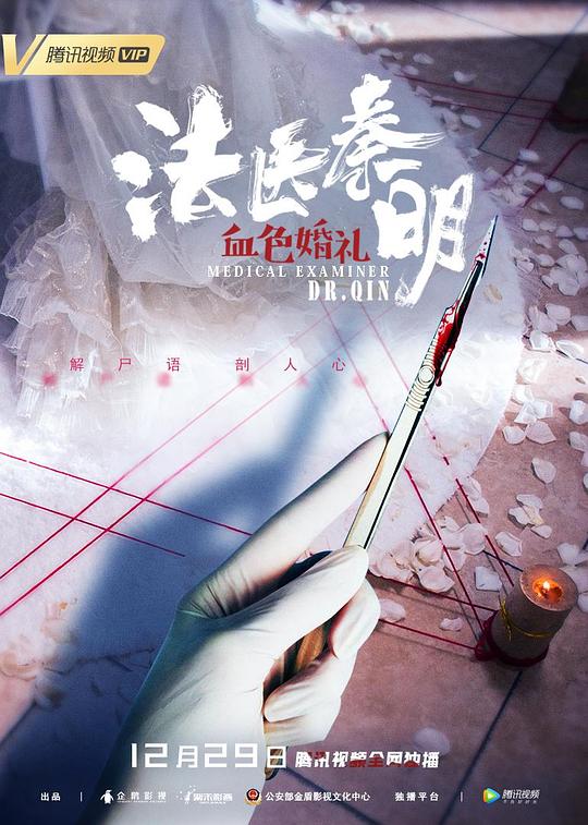 法医秦明之血色婚礼 封面