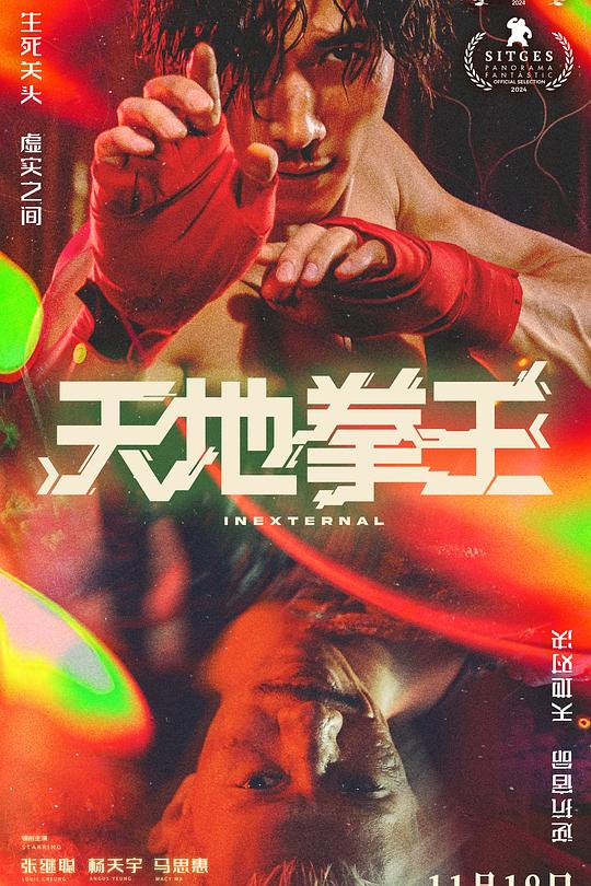 天地拳王 裡應外合 封面