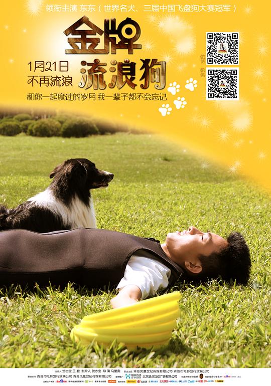 金牌流浪狗 封面