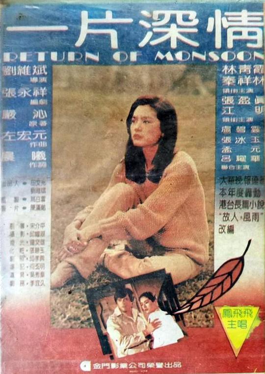 一片深情 封面
