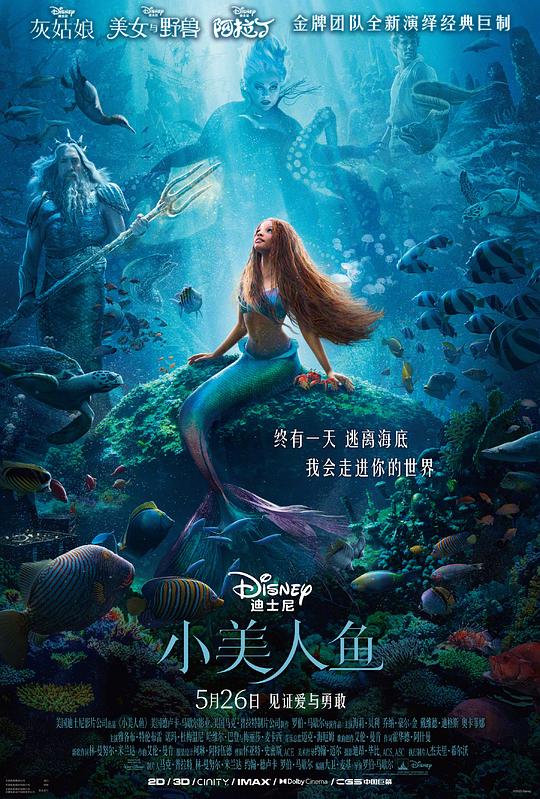 小美人鱼 封面