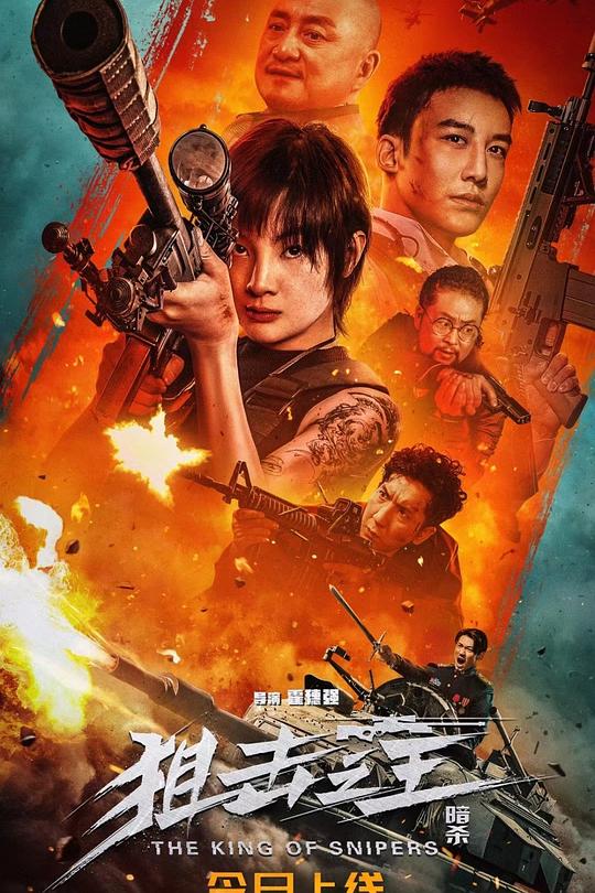 狙击之王：暗杀 封面