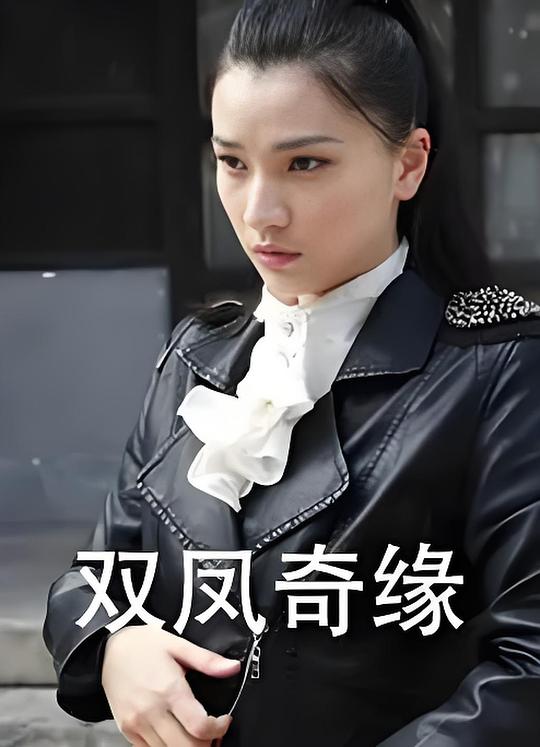 双凤奇缘 封面