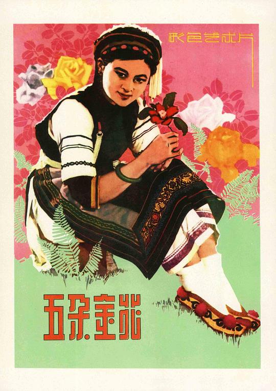 五朵金花 封面