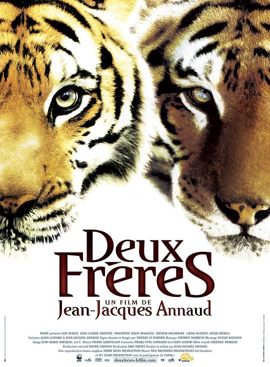 虎兄虎弟 封面