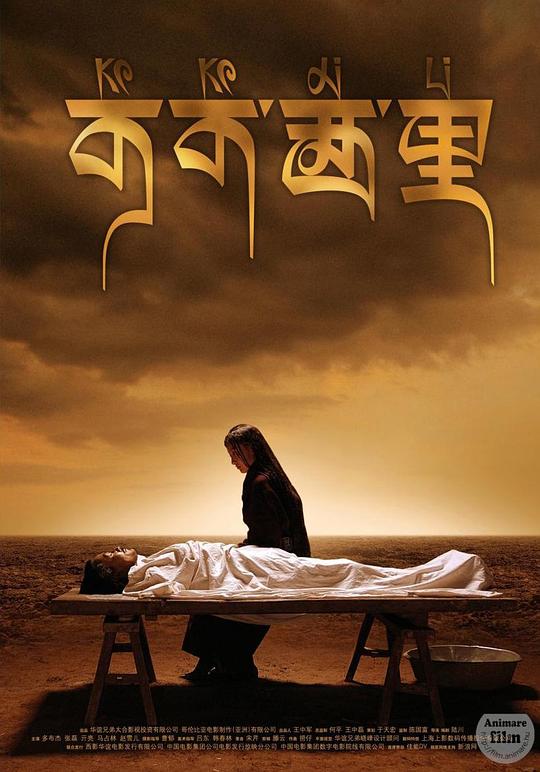 可可西里 封面