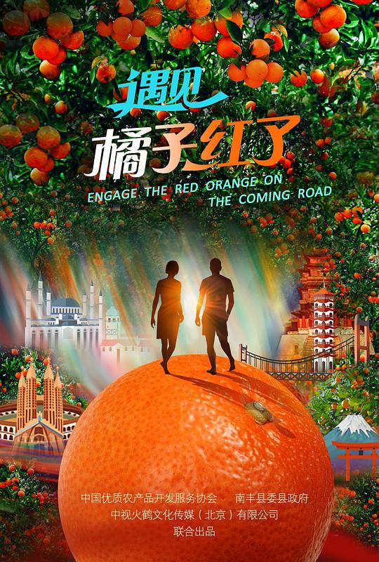 遇见·橘子红了 封面