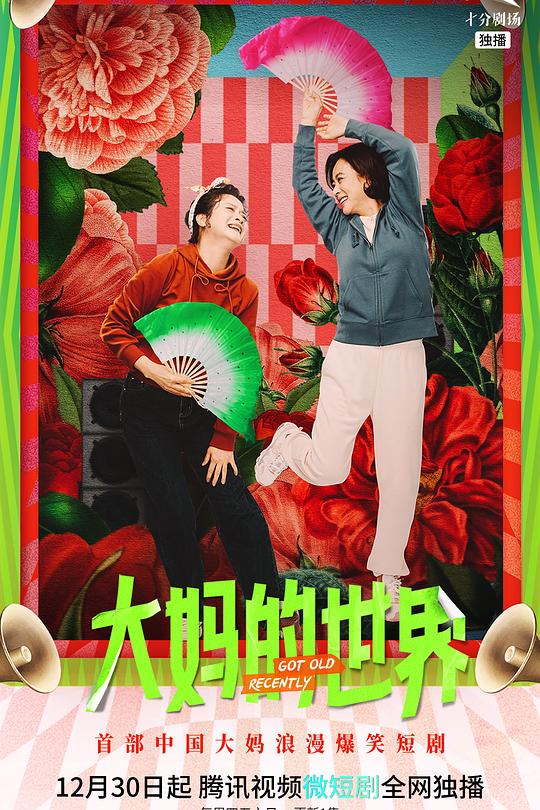 大妈的世界 封面