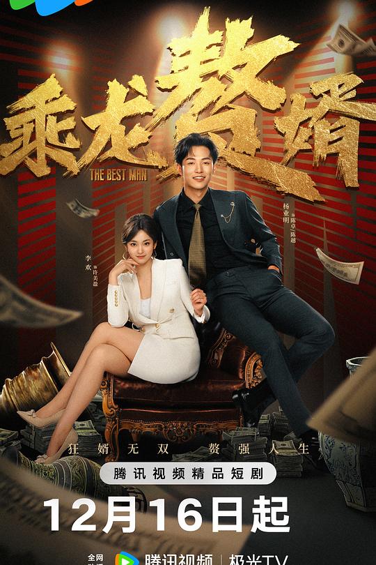 乘龙赘婿 封面