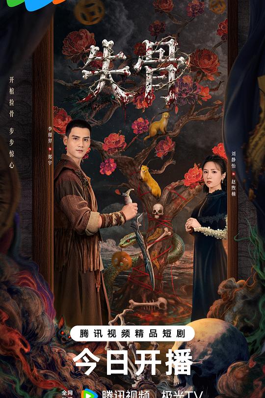 失骨 封面