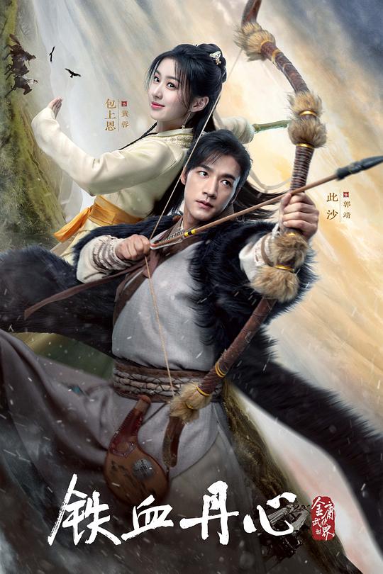 金庸武侠世界·铁血丹心 封面