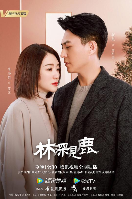 林深见鹿 封面