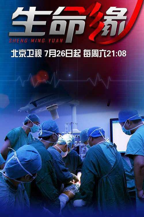 生命缘 第一季 封面