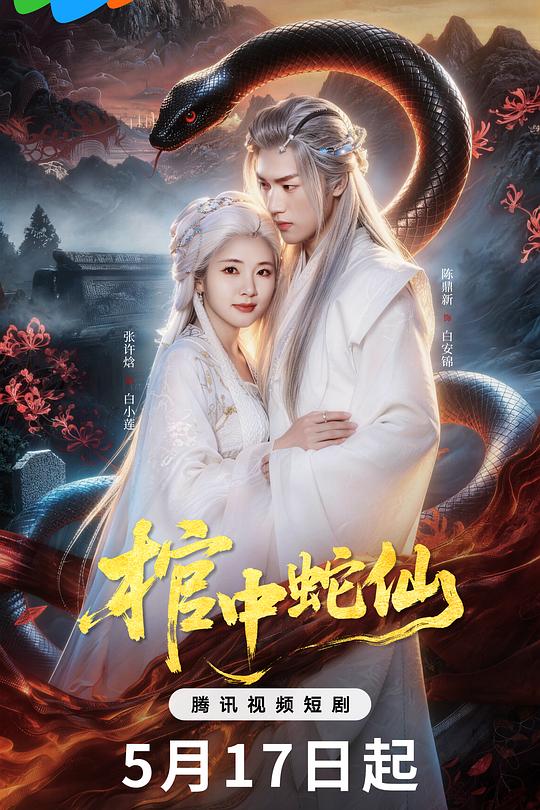 棺中蛇仙 封面
