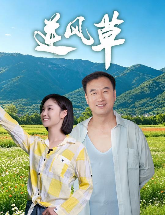 逆风草 封面