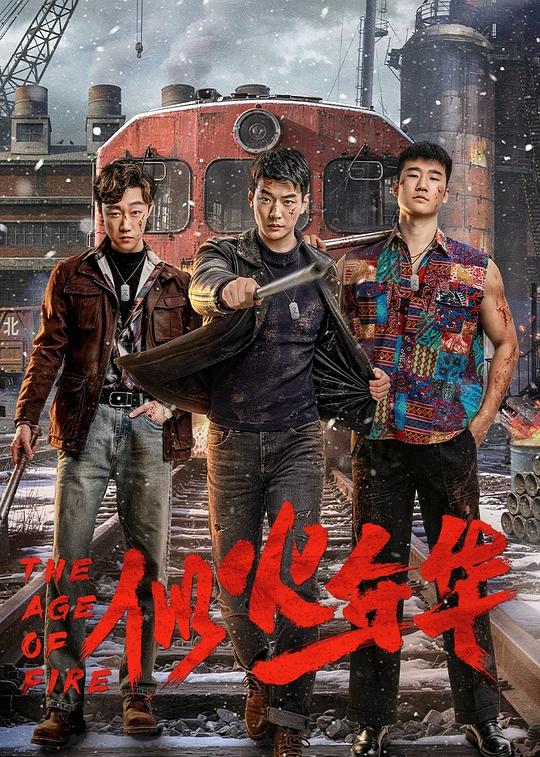 似火年华 封面