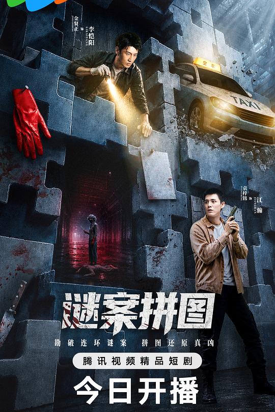 谜案拼图 封面